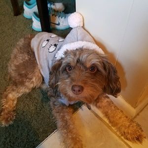 Meet your Posher, Ashkey